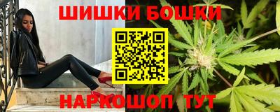 молекула духа Партизанск